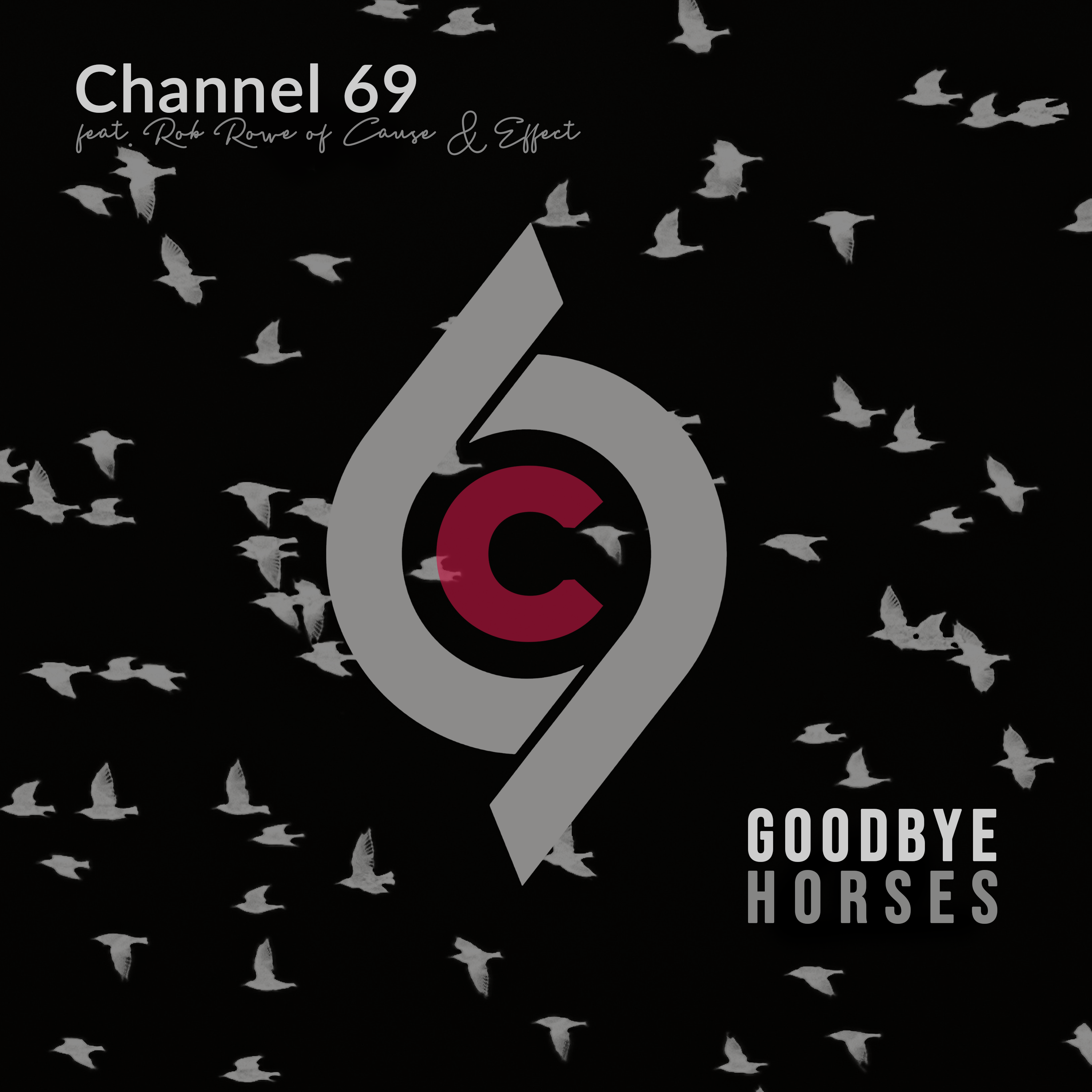 Goodbye Horses